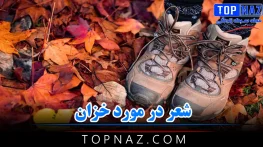 شعر در مورد خزان