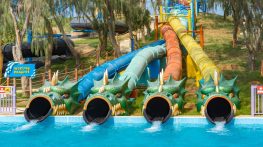 راهنمای خرید بلیط برای پارک‌های آبی دبی 