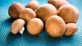 روش های جلوگیری از سیاه شدن قارچ خام در یخچال سیاه شدن قارچ