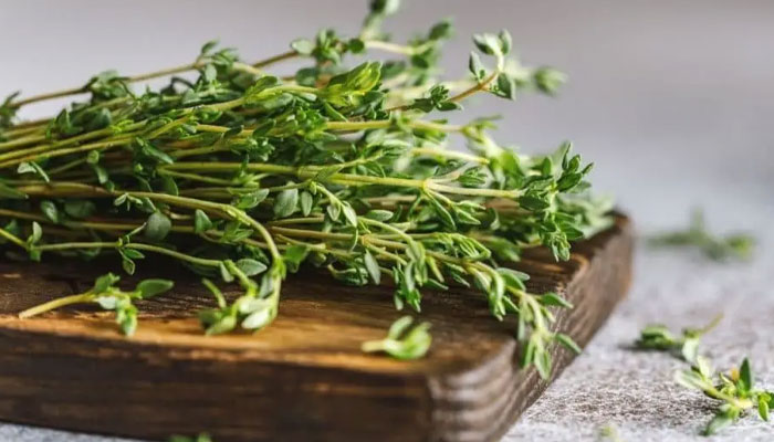 مهم ترین خواص آویشن و کاربردهای آن / 10 خاصیت مهم شگفت انگیز مهم ترین خواص آویشن و کاربردهای آن / 10 خاصیت مهم شگفت انگیز