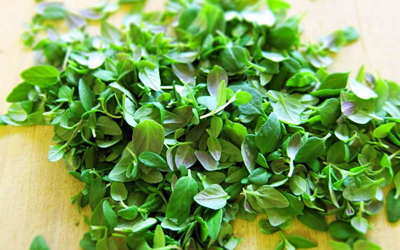 مهم ترین خواص آویشن و کاربردهای آن / 10 خاصیت مهم شگفت انگیز مهم ترین خواص آویشن و کاربردهای آن / 10 خاصیت مهم شگفت انگیز