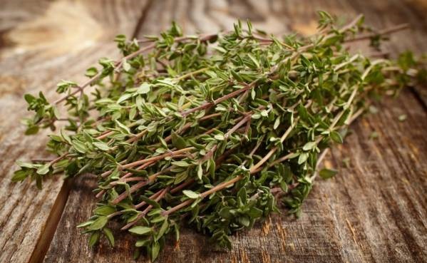 مهم ترین خواص آویشن و کاربردهای آن / 10 خاصیت مهم شگفت انگیز مهم ترین خواص آویشن و کاربردهای آن / 10 خاصیت مهم شگفت انگیز