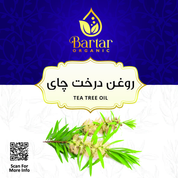 روغن درخت چای؛ خواص درمانی، قیمت و بهترین روش خرید برای پوستی سالم روغن درخت چای؛ خواص درمانی، قیمت و بهترین روش خرید برای پوستی سالم
