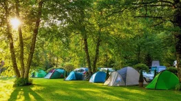 پیک نیک در تهران