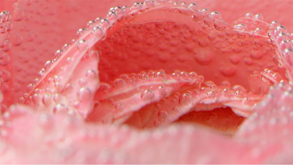 درمان زگیل تناسلی در بارداری