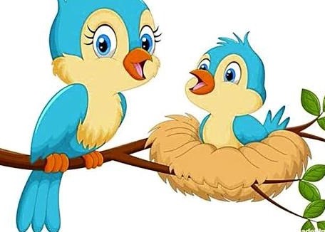 جوجه کبوتر بهونه گیر