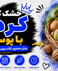 خشک کردن گردو با پوست؛ روش صحیح خشک کردن؛ جلوگیری از کپکزدگی و سیاه شدن مغز گردو خشک کردن گردو با پوست
