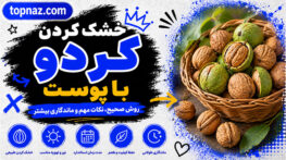 خشک کردن گردو با پوست؛ روش صحیح خشک کردن؛ جلوگیری از کپکزدگی و سیاه شدن مغز گردو خشک کردن گردو با پوست