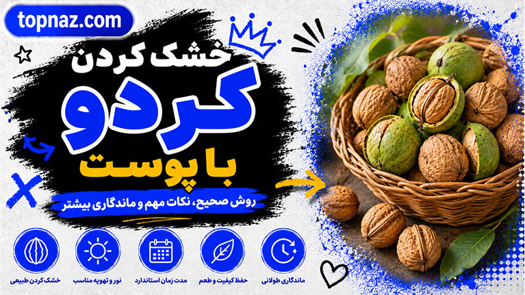 خشک کردن گردو با پوست؛ روش صحیح خشک کردن؛ جلوگیری از کپک‌زدگی و سیاه شدن مغز گردو