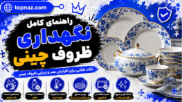 ظروف چینی
