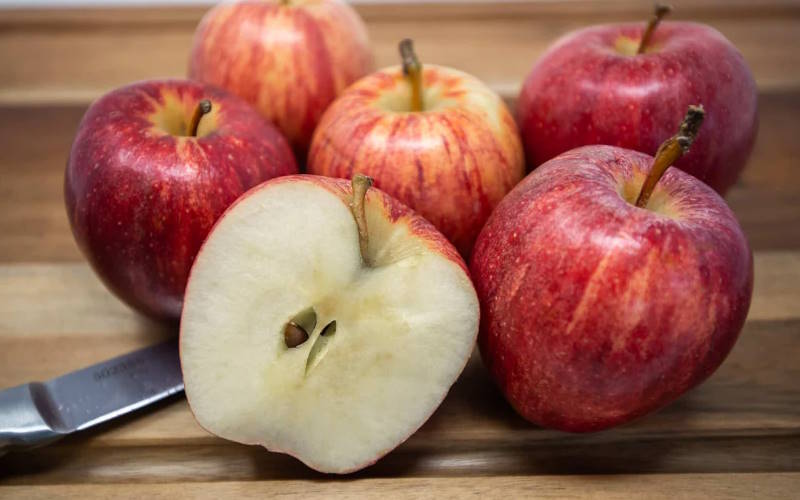 درخت سیب گالا (Gala)