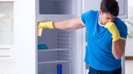 رفع بوی بد یخچال
