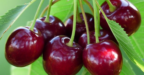 خواص گیلاس | فواید گیلاس برای سلامتی بدن، پوست، مو و لاغری خواص گیلاس