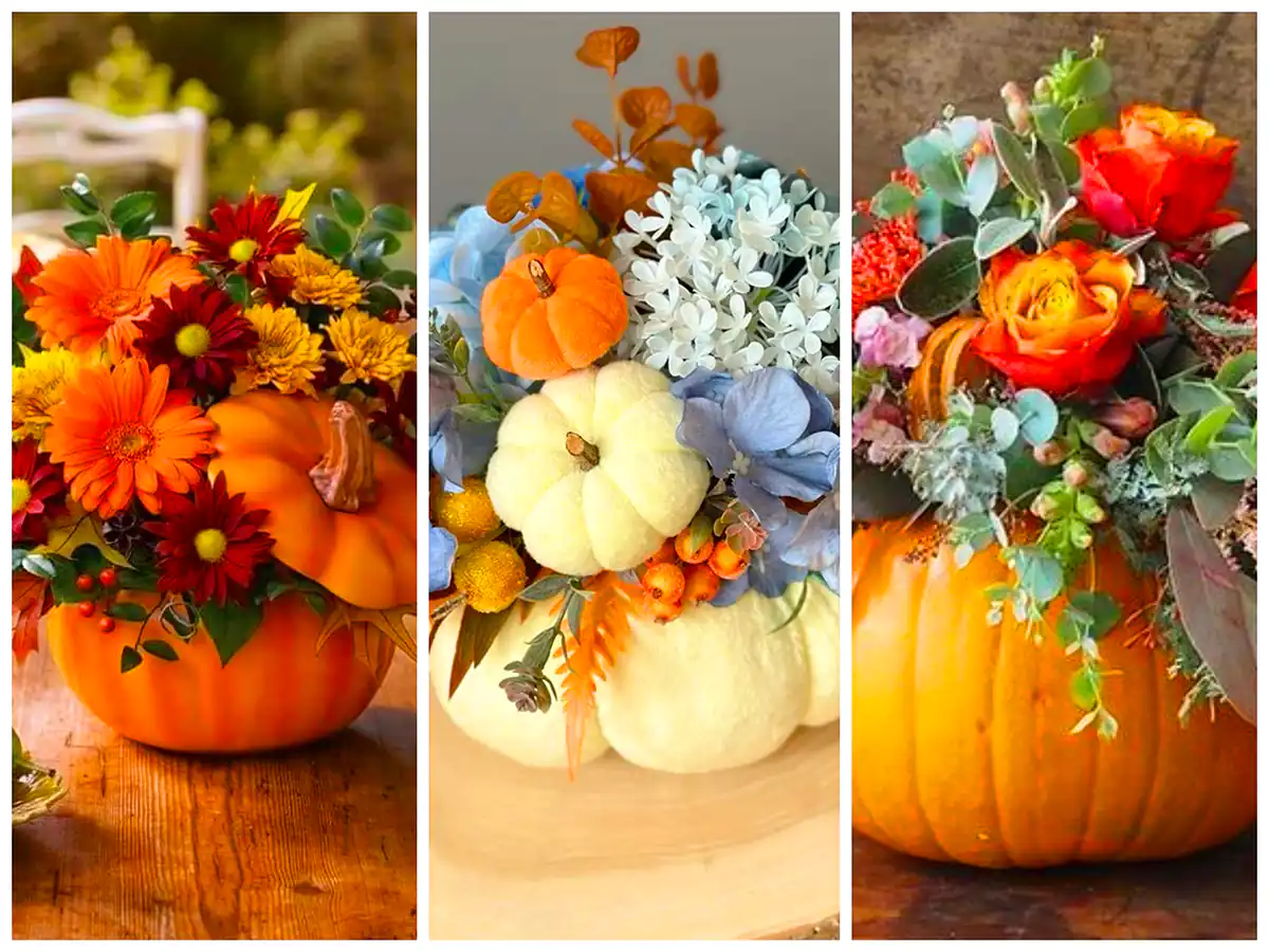 ایده های جذاب تزئین کدو تنبل برای شب یلدا + تصاویر تزیین dizan yaldaee kadoo tanbal