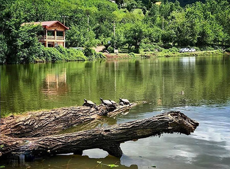 جاهای دیدنی گیلان | 8 جاذبه گردشگری زیبا و دیدنی با تصاویر