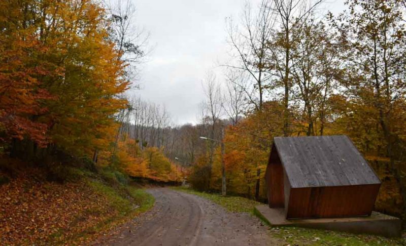 جاهای دیدنی گیلان | 8 جاذبه گردشگری زیبا و دیدنی با تصاویر