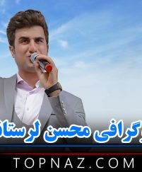 بیوگرافی محسن لرستانی