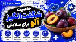 خاصیت شگفتانگیز آلو برای سلامتی؛ از درمان یبوست تا سلامت قلب و استخوان آلو