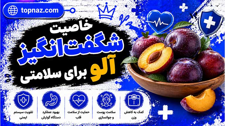 خاصیت شگفتانگیز آلو برای سلامتی؛ از درمان یبوست تا سلامت قلب و استخوان خاصیت شگفتانگیز آلو برای سلامتی؛ از درمان یبوست تا سلامت قلب و استخوان