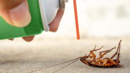 بهترین مواد سمپاشی سوسک 2025 {مقایسه قیمت، اثرگذاری و برندها}