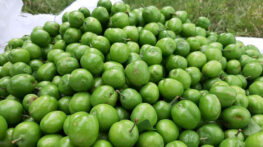 خواص آلوچه سبز