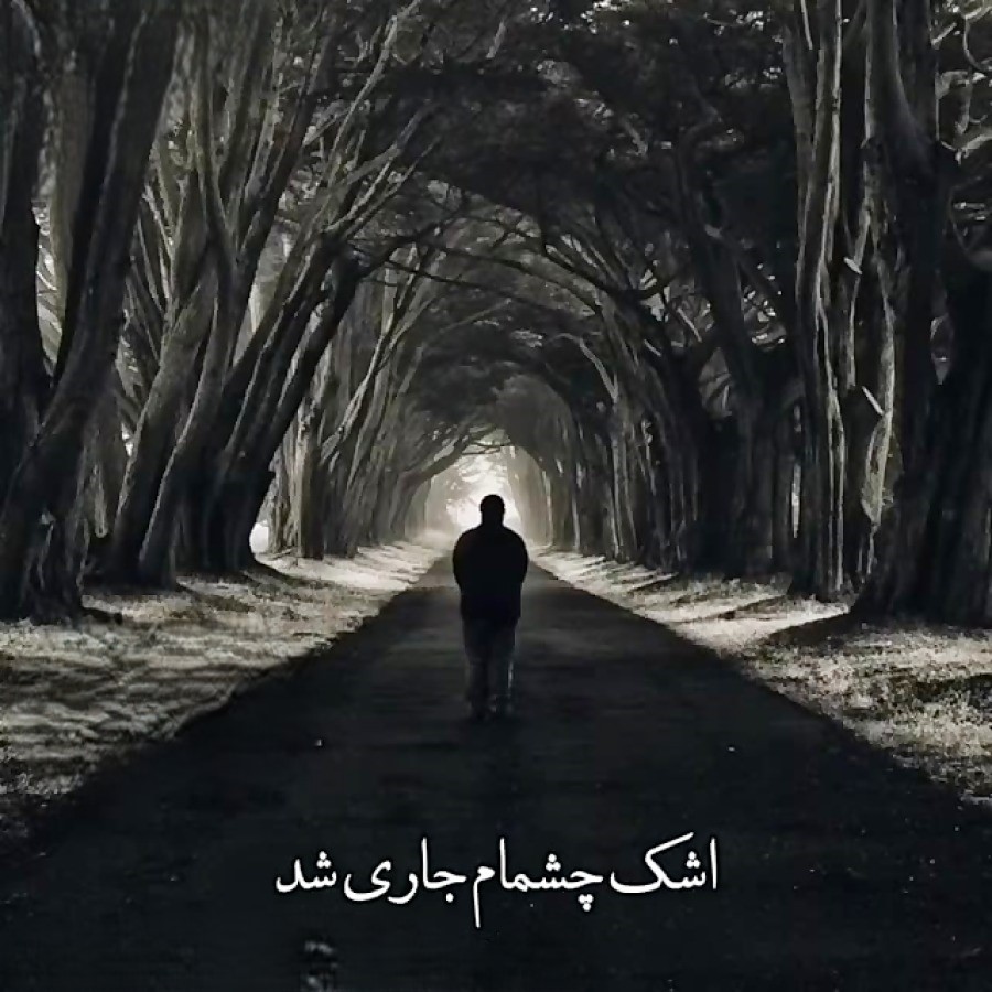 حمیرا لحظه خداحافظی