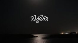 دانلود آهنگ آخرین کوکب | لای لایی من به جای تو شکستم آهنگ آخرین کوکب