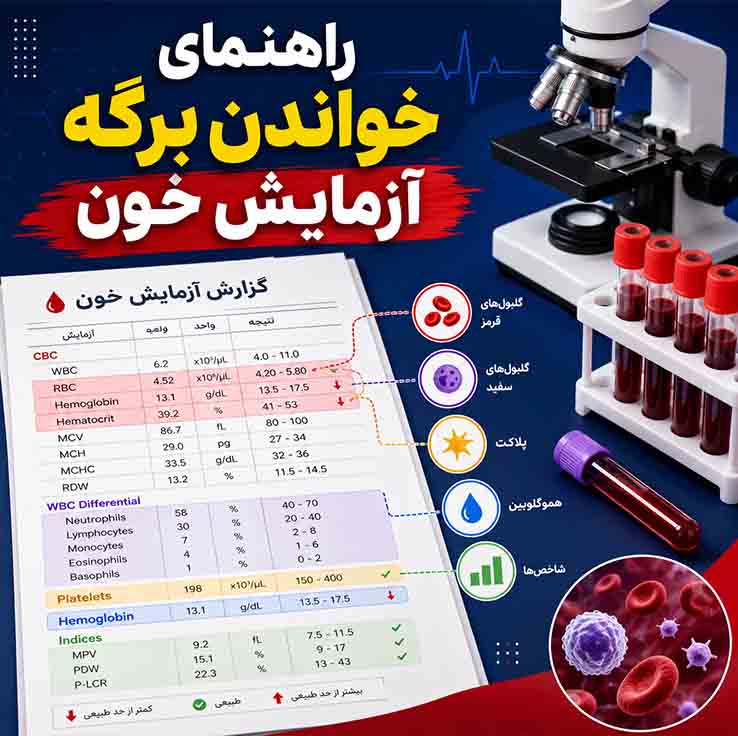 راهنمای خواندن برگه آزمایش خون از صفر تا صد؛ آموزش کامل تفسیر مهمترین فاکتورهای آزمایش خون PLT یا پلاکت خون
