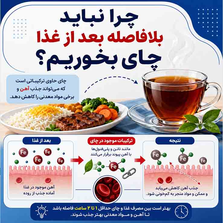 چرا نباید چای را بلافاصله بعد از غذا خورد؟ فاصله استاندارد نوشیدن چای پس از غذا چقدر است؟ آیا چای میتواند جذب سایر مواد معدنی را نیز کاهش دهد؟