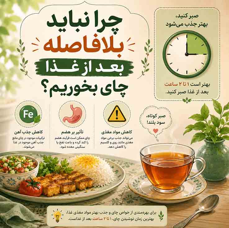 چرا نباید چای را بلافاصله بعد از غذا خورد؟ فاصله استاندارد نوشیدن چای پس از غذا چقدر است؟ باورهای غلط درباره نوشیدن چای بعد از غذا
