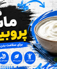 فواید ماست پروبیوتیک؛ تأثیر بر سلامت روده و سیستم ایمنی؛ نقش باکتریهای مفید در سلامت بدن ماست پروبیوتیک