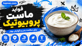 فواید ماست پروبیوتیک؛ تأثیر بر سلامت روده و سیستم ایمنی؛ نقش باکتریهای مفید در سلامت بدن ماست پروبیوتیک