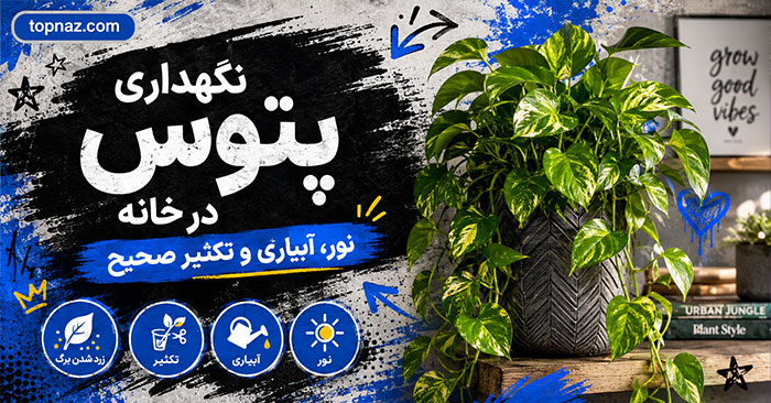 نگهداری پتوس در خانه؛ اصول آبیاری، نور و تکثیر؛ علت و راههای رفع زرد شدن برگها نگهداری پتوس در خانه؛ اصول آبیاری، نور و تکثیر؛ علت و راههای رفع زرد شدن برگها