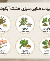 سبزی خشک آبگوشت چیست؛ راهنمای کامل ترکیب، مقدار و طرز استفاده سبزی خشک آبگوشت چیست؛ راهنمای کامل ترکیب، مقدار و طرز استفاده