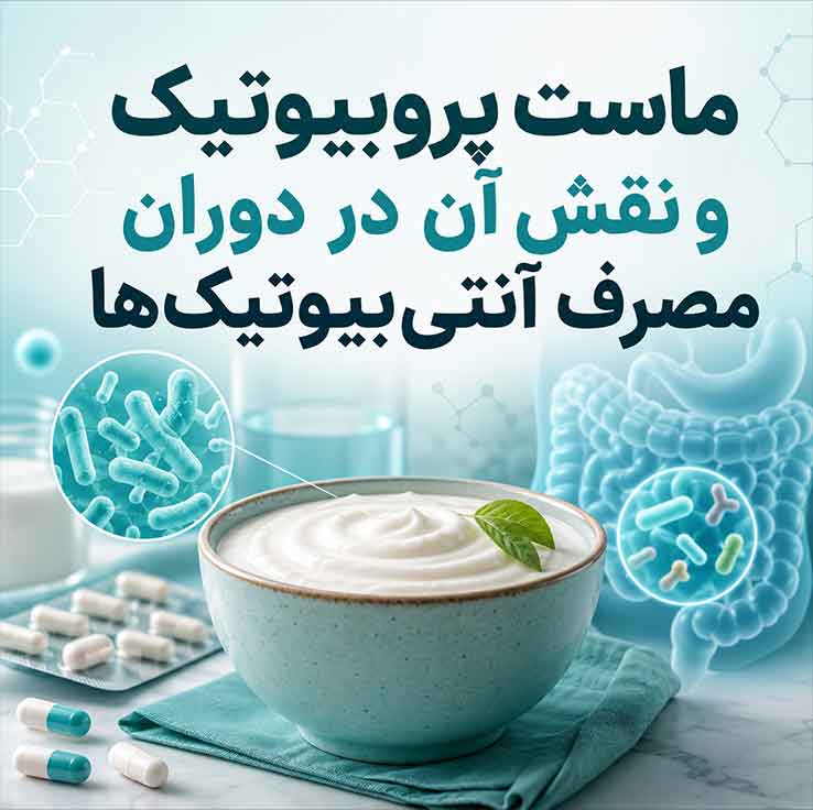 ماست پروبیوتیک و نقش آن در دوران مصرف آنتی‌بیوتیک‌ها