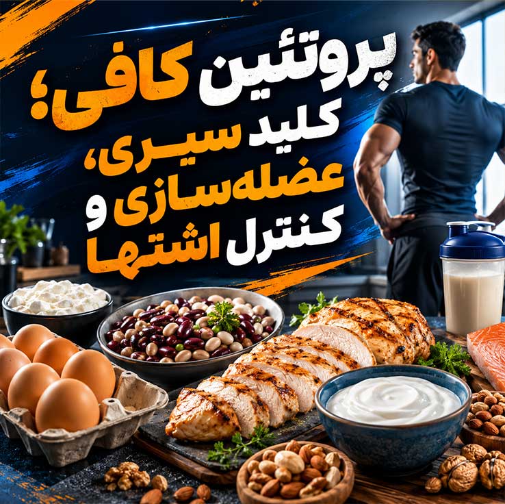 پروتئین کافی؛ کلید سیری، عضله‌سازی و کنترل اشتها
