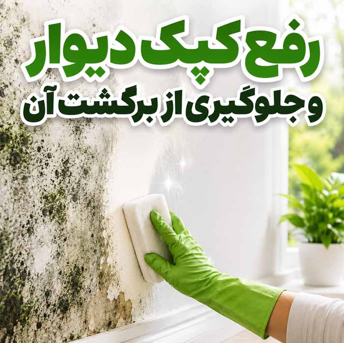 رفع نم دیوار خانه؛ تشخیص منشأ رطوبت و نشتی؛ ترمیم لکهها و جلوگیری از کپکزدگی رفع کپک دیوار و جلوگیری از برگشت آن