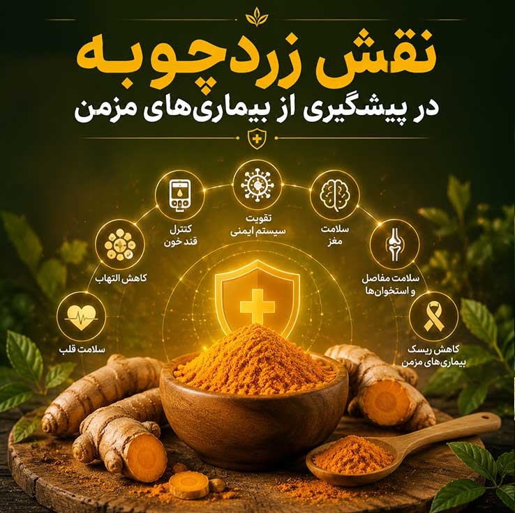 نقش زردچوبه در پیشگیری از بیماری‌های مزمن