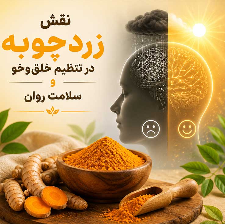 نقش زردچوبه در تنظیم خلق‌وخو و سلامت روان