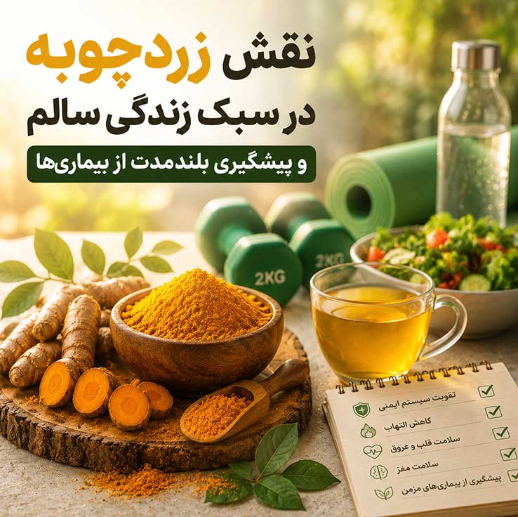 نقش زردچوبه در سبک زندگی سالم و پیشگیری بلندمدت از بیماری‌ها