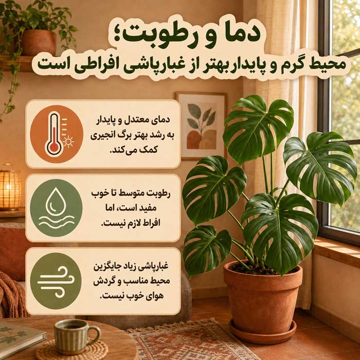 دما و رطوبت؛ محیط گرم و پایدار بهتر از غبارپاشی افراطی است