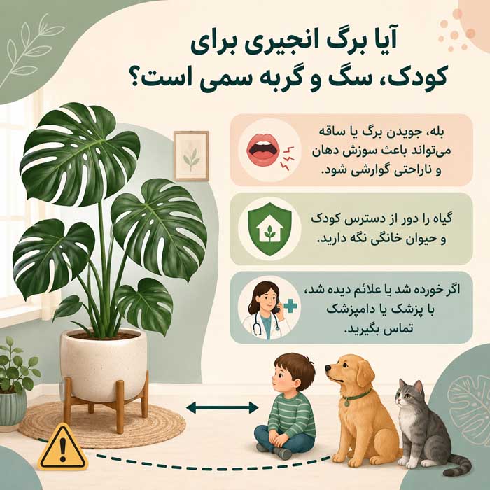 آیا برگ انجیری برای کودک، سگ و گربه سمی است؟