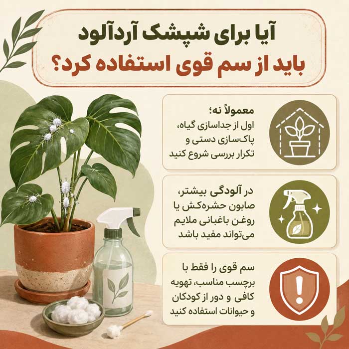 شپشک آردآلود چیست؟؛ نشانههای آلودگی روی برگ و ریشه؛ روشهای کنترل در گیاهان آپارتمانی آیا برای شپشک آردآلود باید از سم قوی استفاده کرد؟