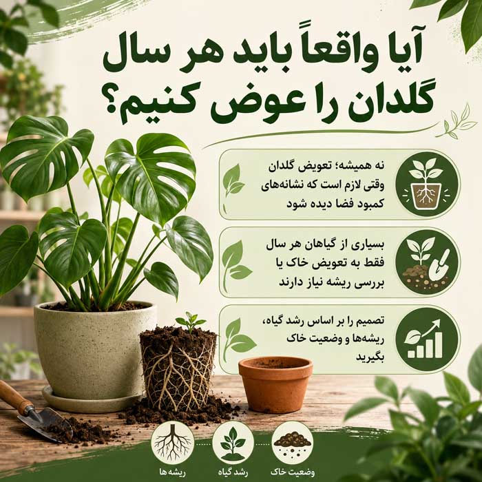 آیا واقعاً باید هر سال گلدان را عوض کنیم؟