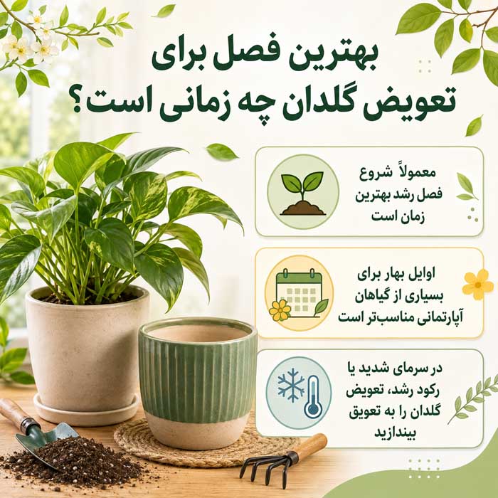 بهترین فصل برای تعویض گلدان چه زمانی است؟