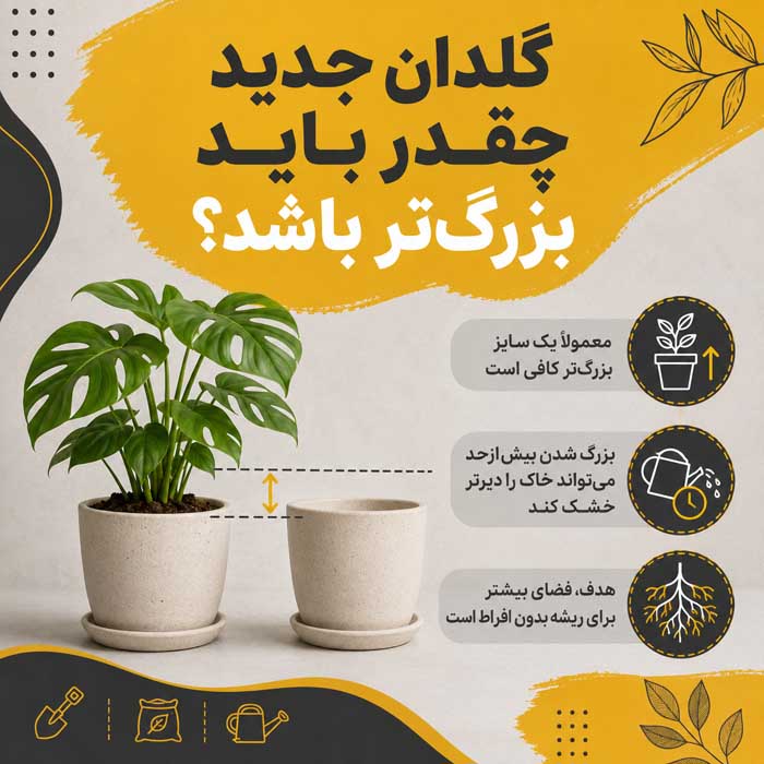 گلدان جدید چقدر باید بزرگ‌تر باشد؟