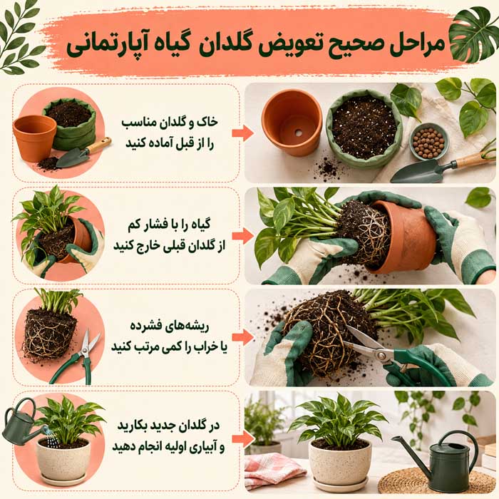 مراحل صحیح تعویض گلدان گیاه آپارتمانی