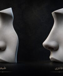 راهنمای انتخاب بین عمل بینی طبیعی و فانتزی؛ کدام برای من مناسب‌تر است؟