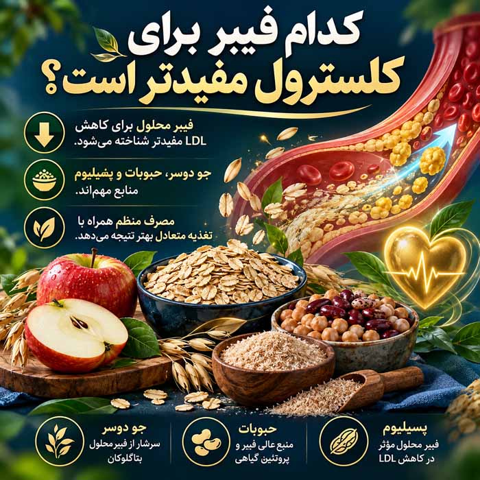کدام فیبر برای کلسترول مفیدتر است؟