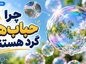 چرا حبابها گرد هستند؟؛ نقش کشش سطحی در شکل کروی؛ توضیح ساده یک پدیده روزمره چرا حبابها گرد هستند
